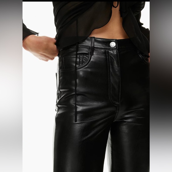 Aritzia Wilfred Melina Pants in Tall - Picture 3 of 9